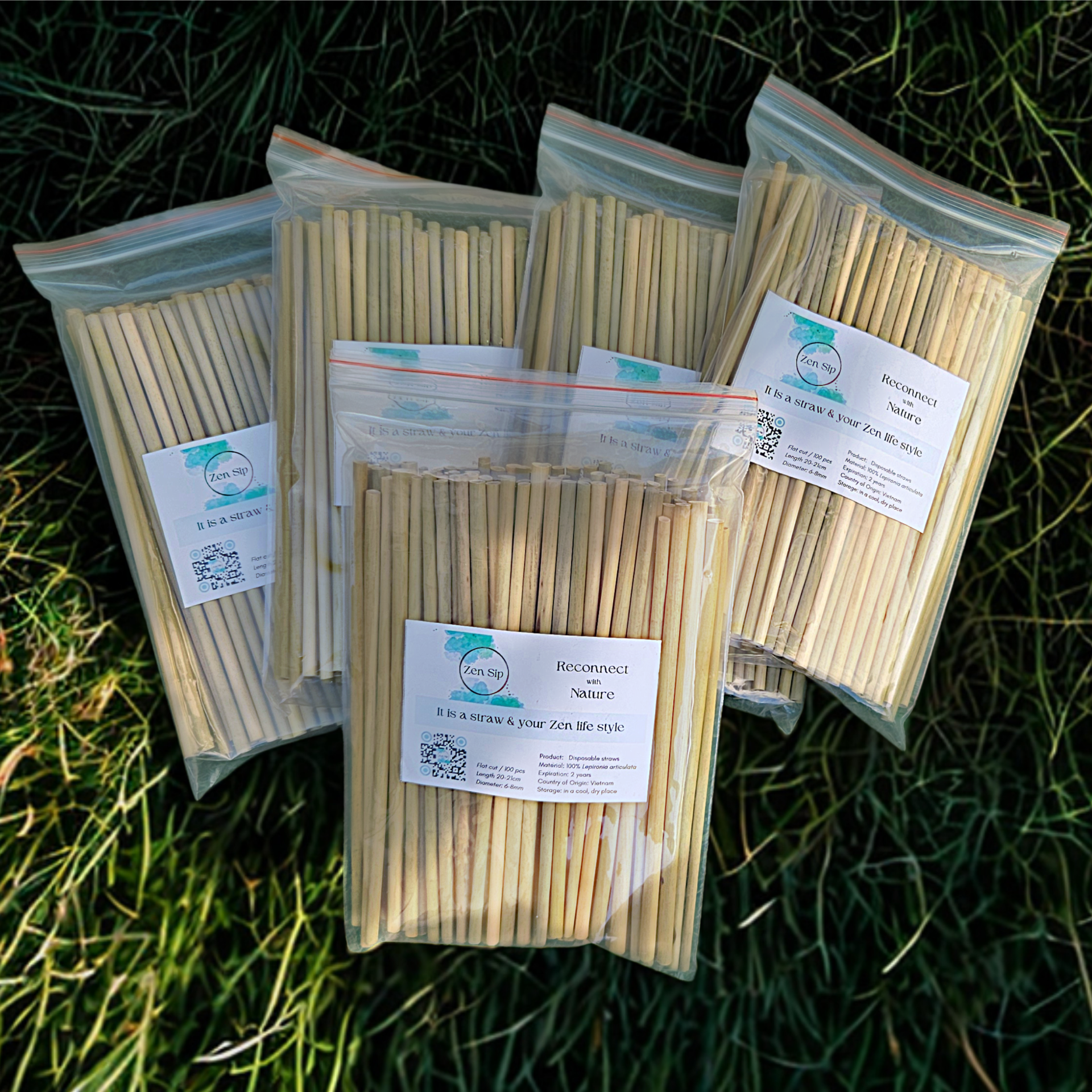 5 x 100 stuks HORECA-verpakking