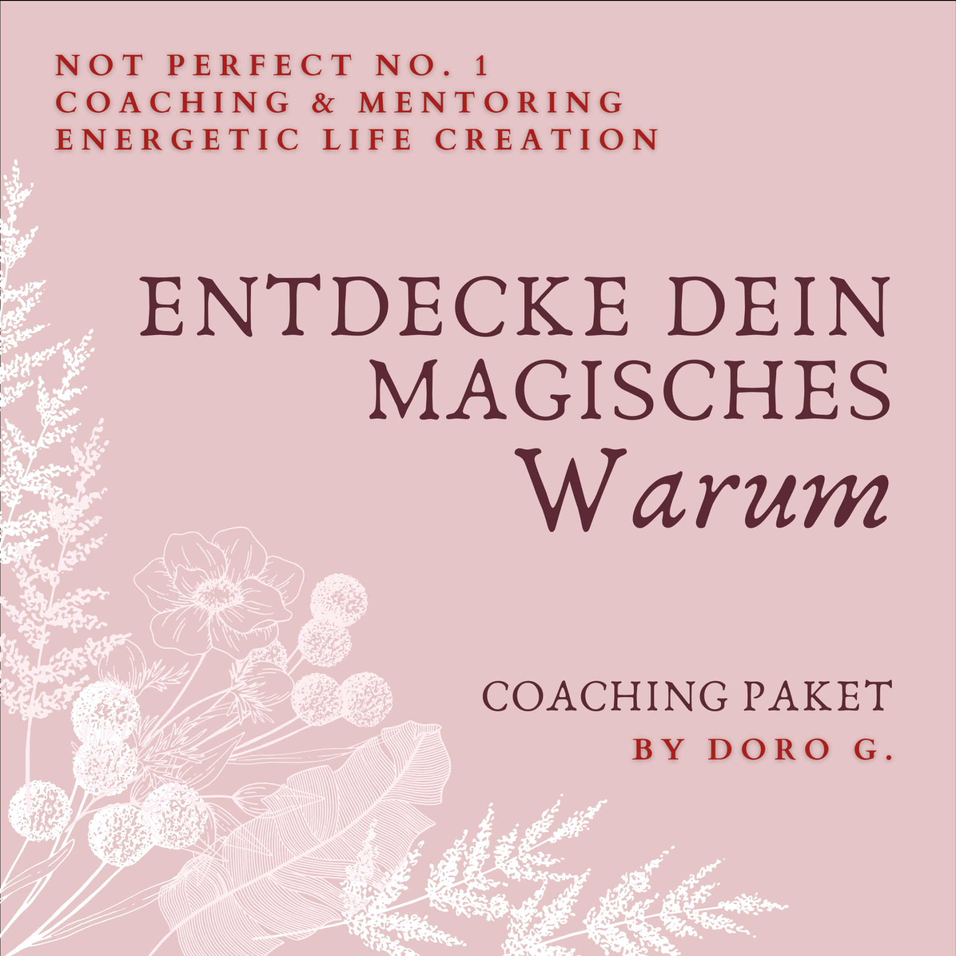 Finde Dein WARUM 1:1 Coaching (3 Teiliges Coaching - an 3 Tagen - 3 x Einzecoaching Session)