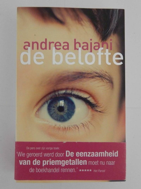 Boek De Belofte