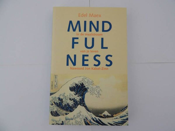 Boek Mindfulness, in de maalstroom van je leven