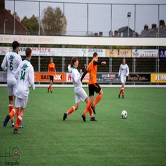 dsc_9341-standard.jpg