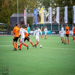 dsc_9352-standard-21bys0.jpg