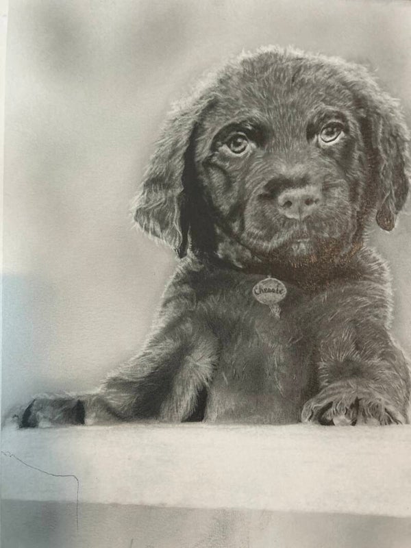Chessie