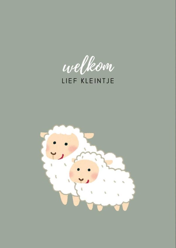 A6 kaart - welkom lief kleintje