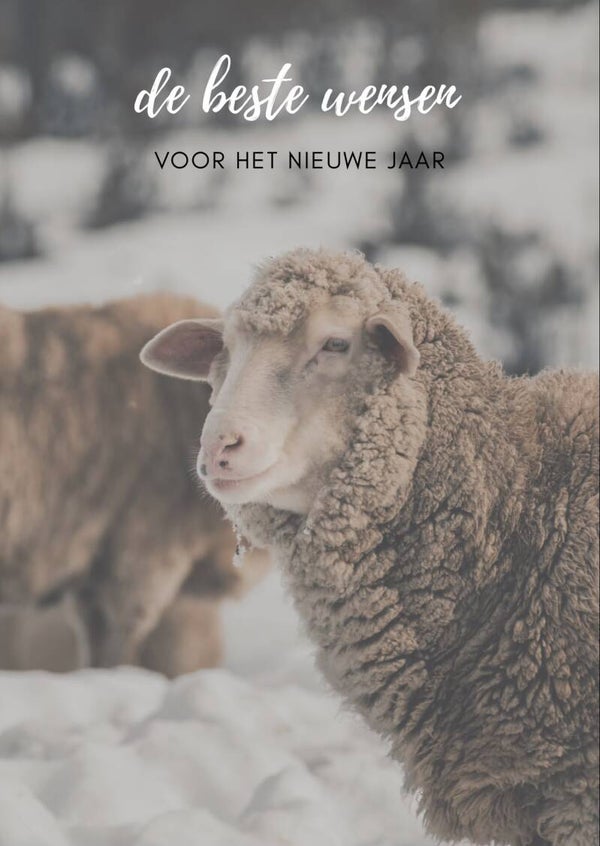 A6 kerstkaart - schaap