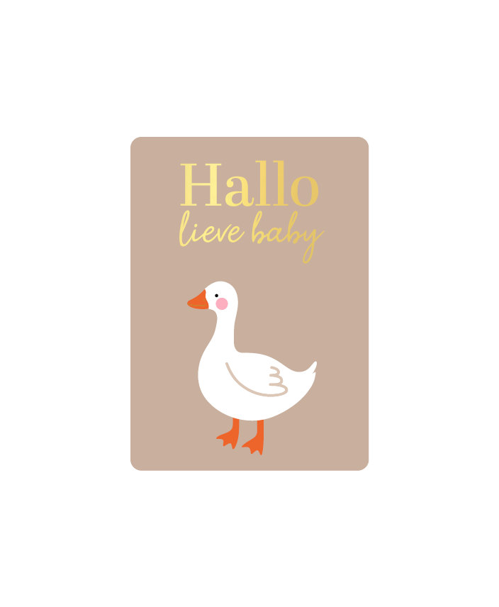 Cadeaukaartje A7 - Hallo lieve baby