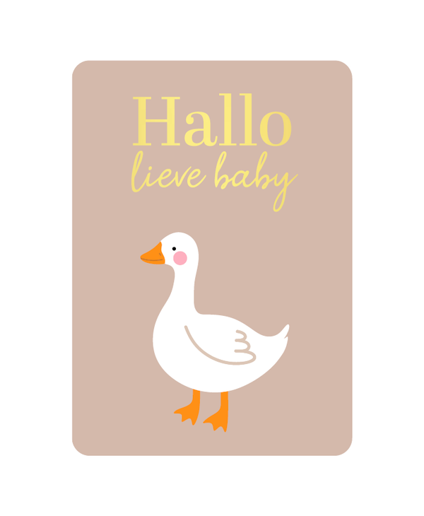 A6 kaart - Hallo lieve baby