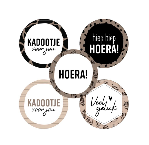 Stickers (10st) - Hoera/kadootje voor jou/veel geluk