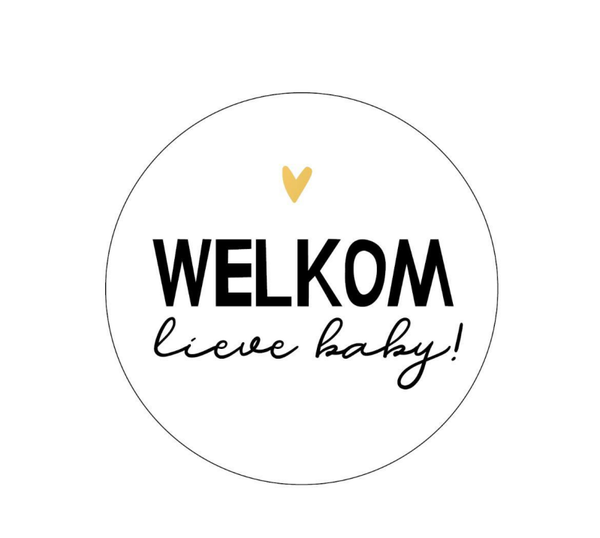 Stickers (10st) - Welkom lieve baby!