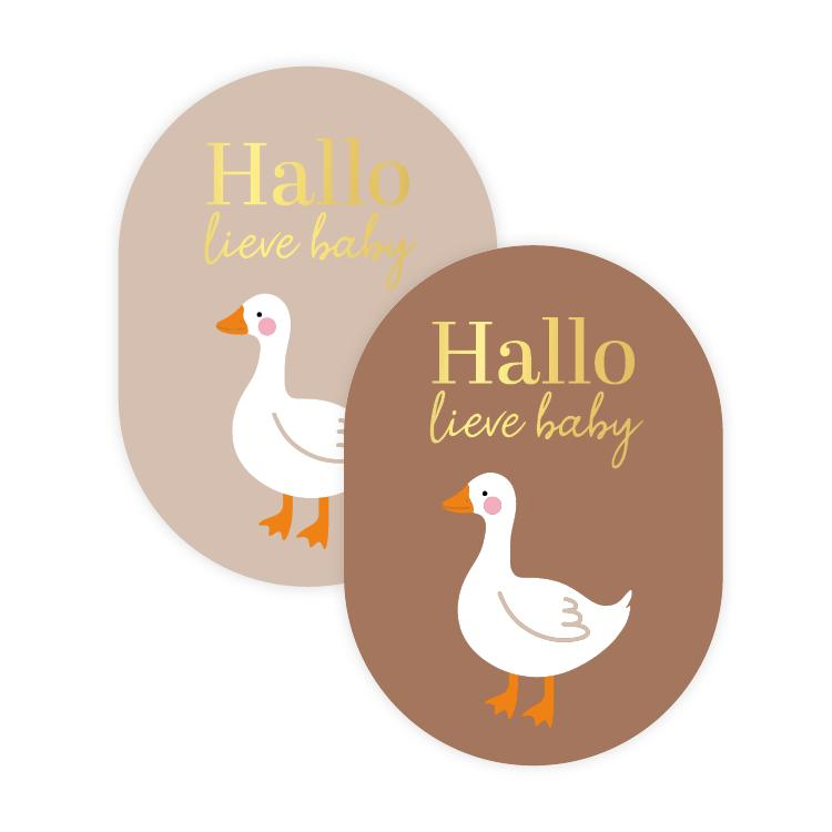 Stickers (10st) Hallo lieve baby