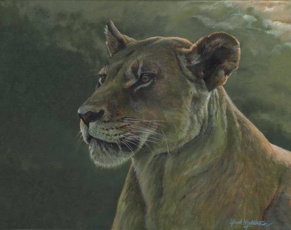 A Storm is Coming 2 - lioness portrait
