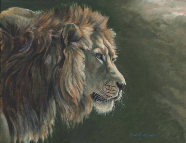 A Storm is Coming 1 - lion portrait