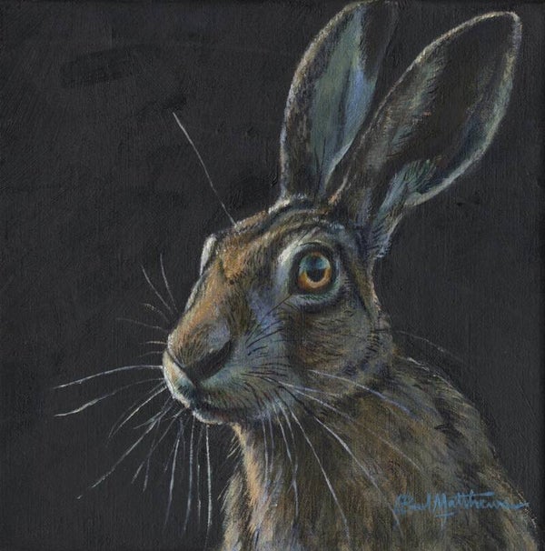 Small  hare portrait