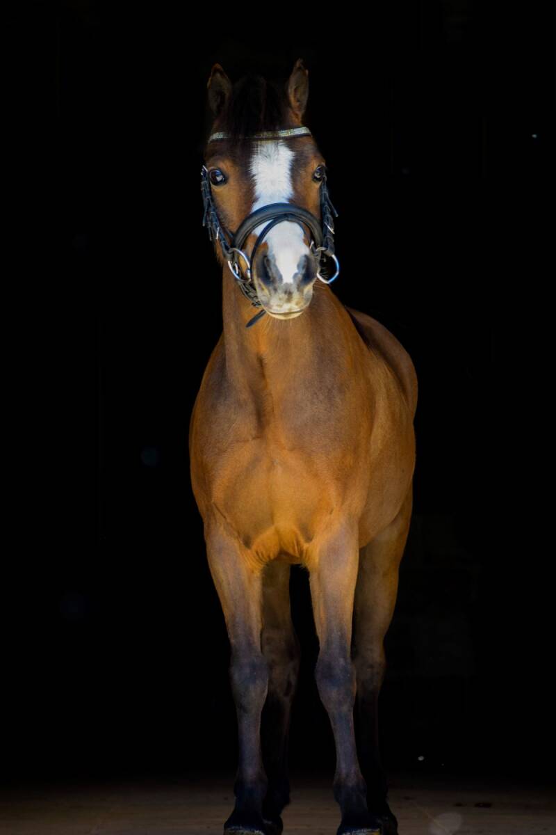 Amy from the alia alassaf academy