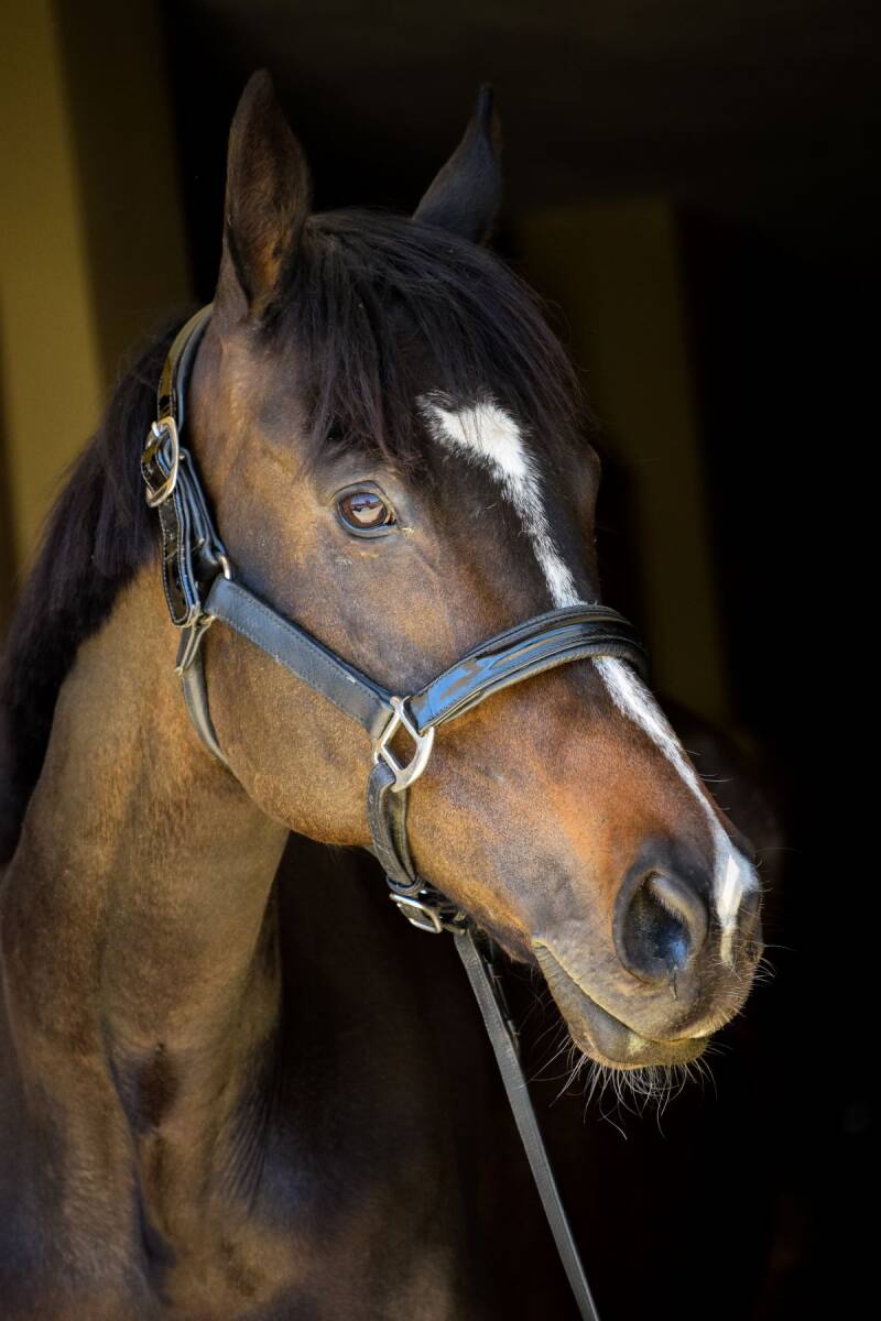 April, owned by the Alia Alassaf academy