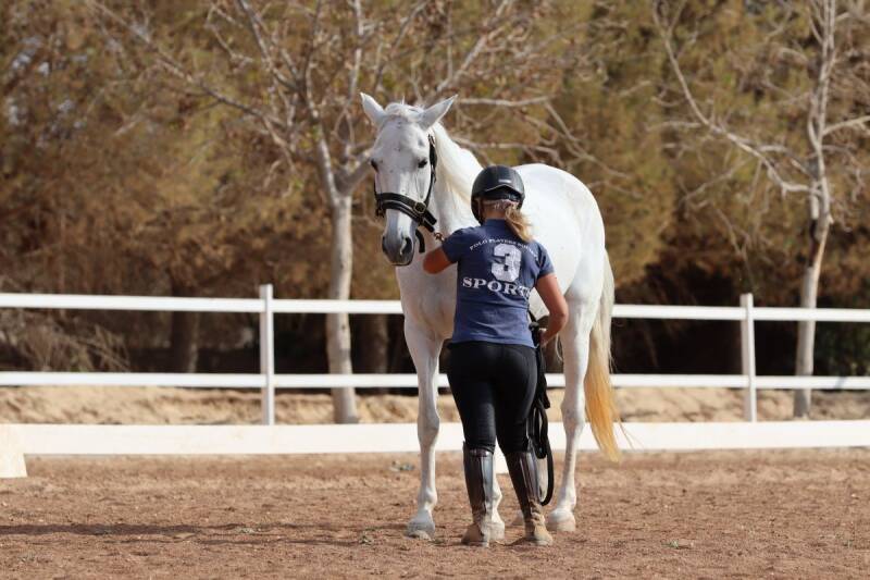 Horse behaviour specialist Jordan