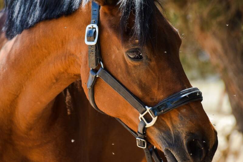 Kirain, our happy athlete