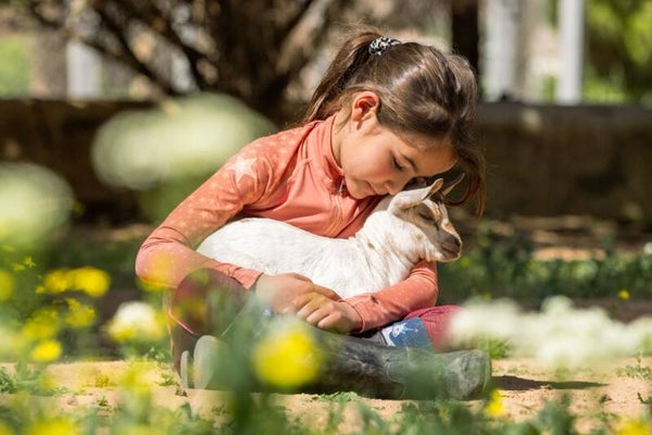 Ride4Rescue Single Ticket ( 15JOD )