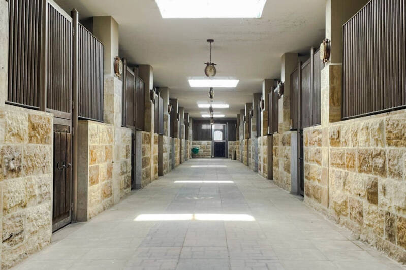 luxe horse stables amman