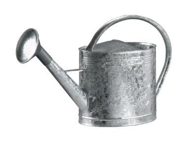 Arrosoir en acier galvanise - 13 litres, avec pomme - FORGES DE MAGNE - 388412