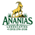Ananias Landscaping