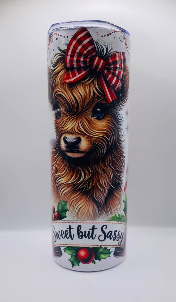 Sweet and sassy highland cow