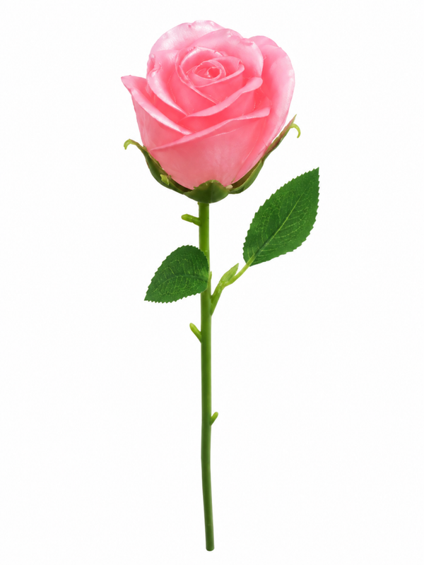 Rose immortelle diamètre 5CM