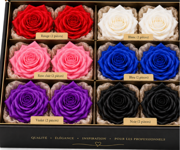 Kit Découverte Professionnel – 12 Têtes de Roses Unies diamétre 7x7 cm🌹