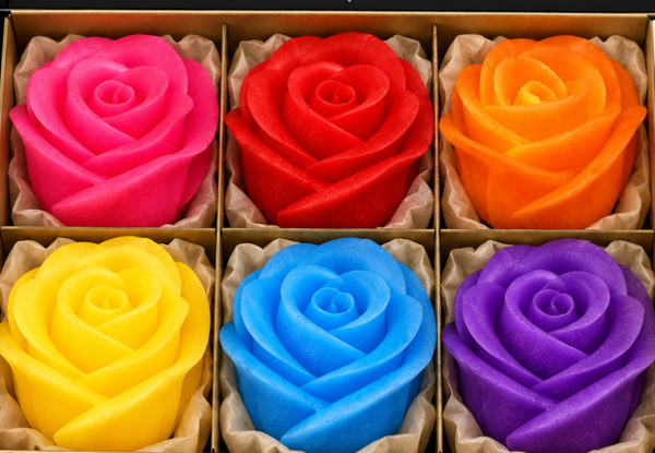 🌹 Kit Découverte Professionnel – 6 Têtes de Roses