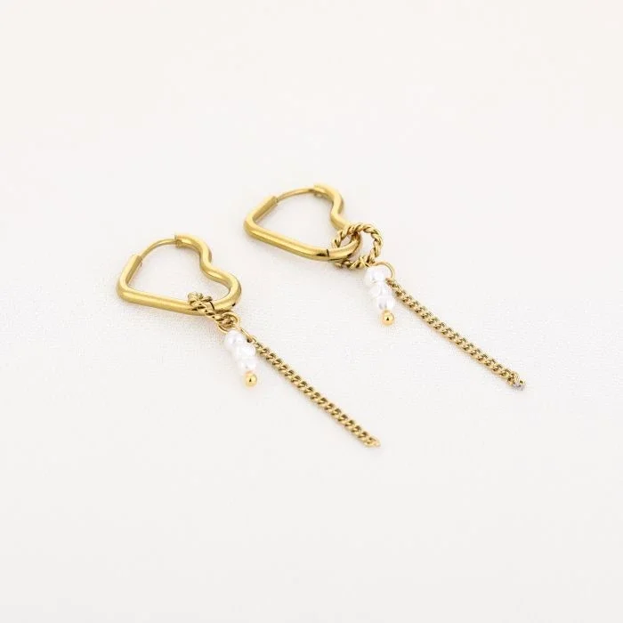 Hartjes oorbellen (lang)