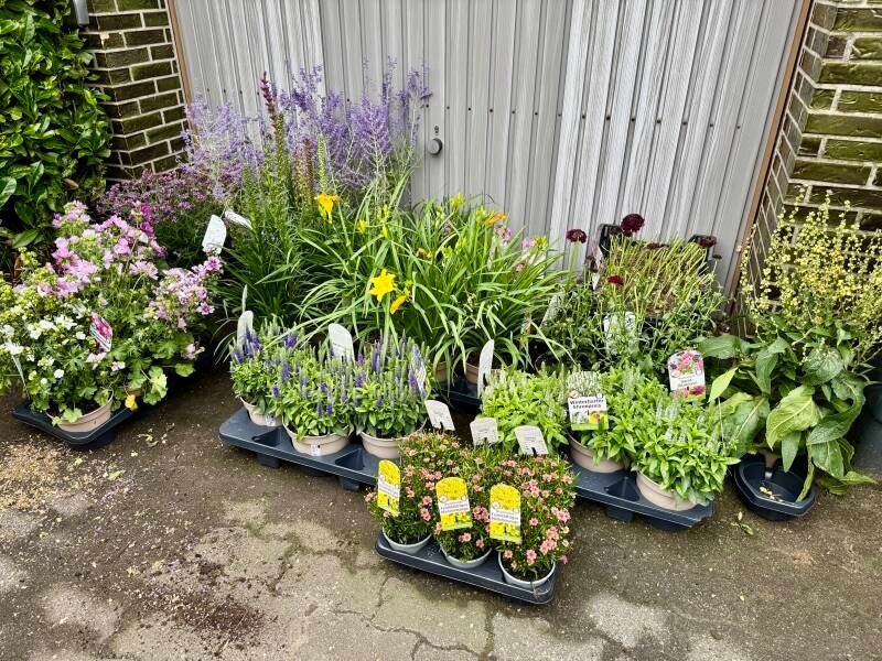 Flower-Car Pflanzenlieferung für Kunden , Herten