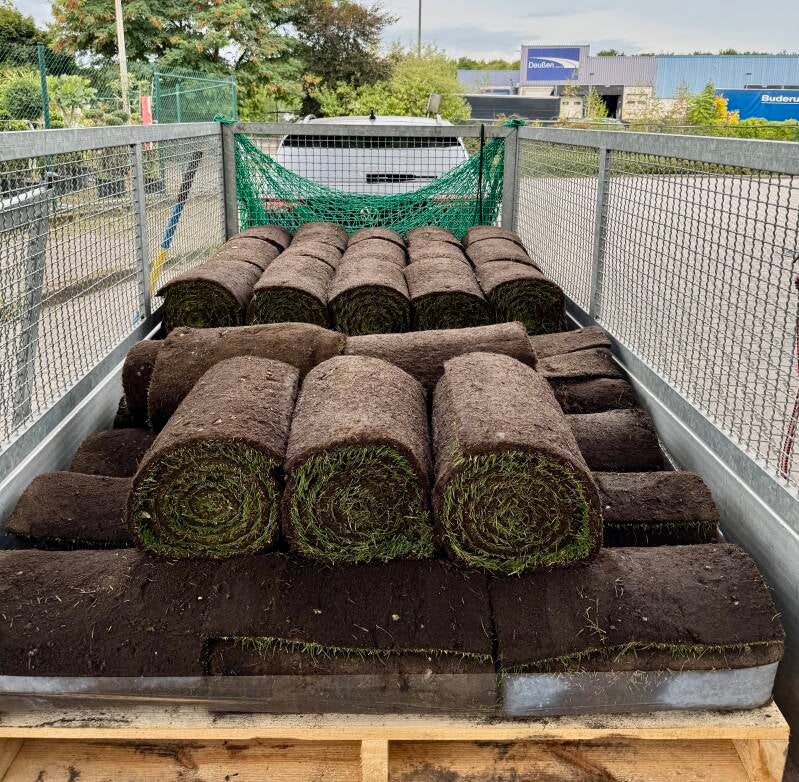 Flower-Car Rollrasen Lieferung für Kunden , Dortmund