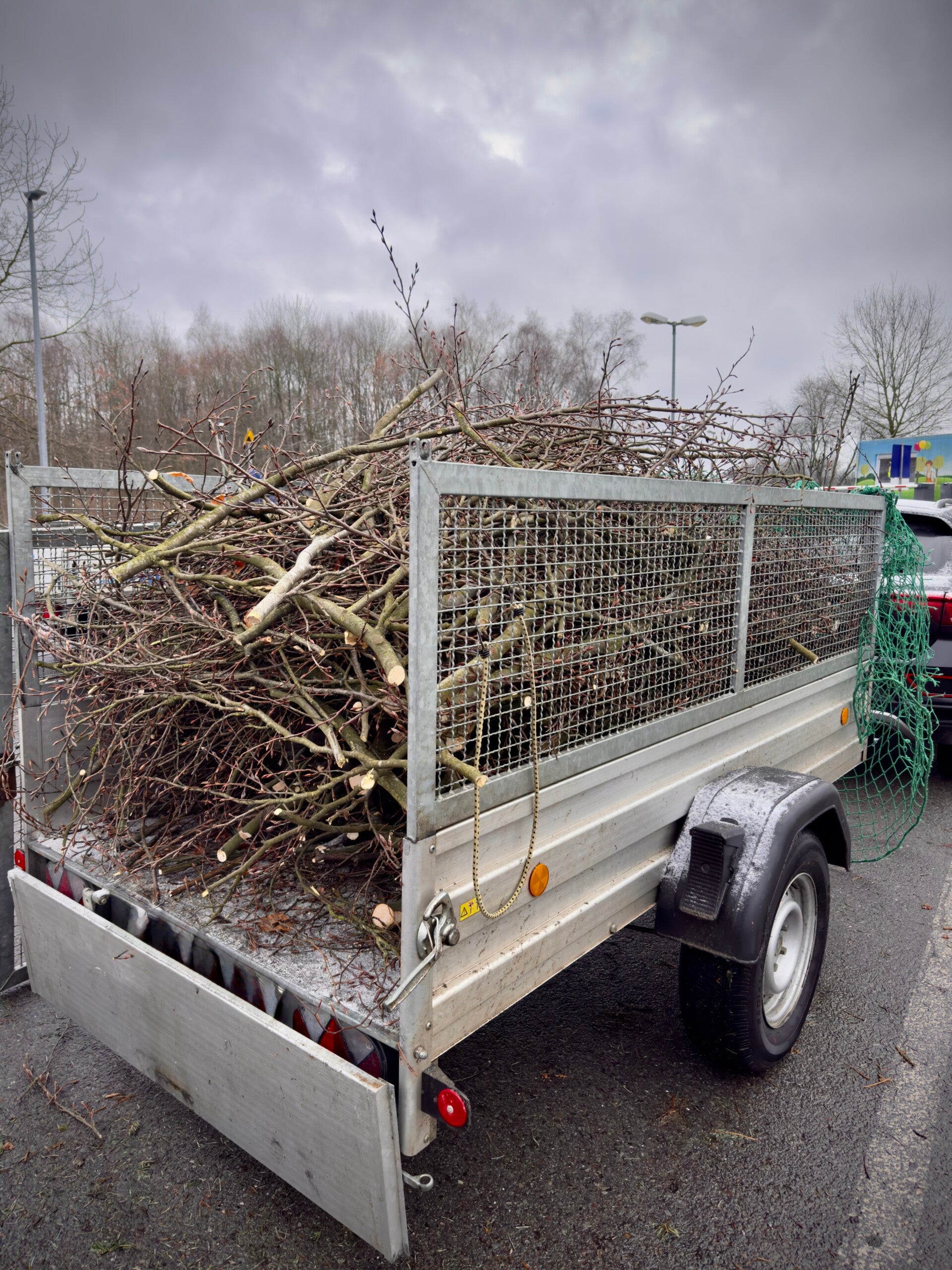 Grünschnittentsorgung Entsorgung von Grünschnitt
