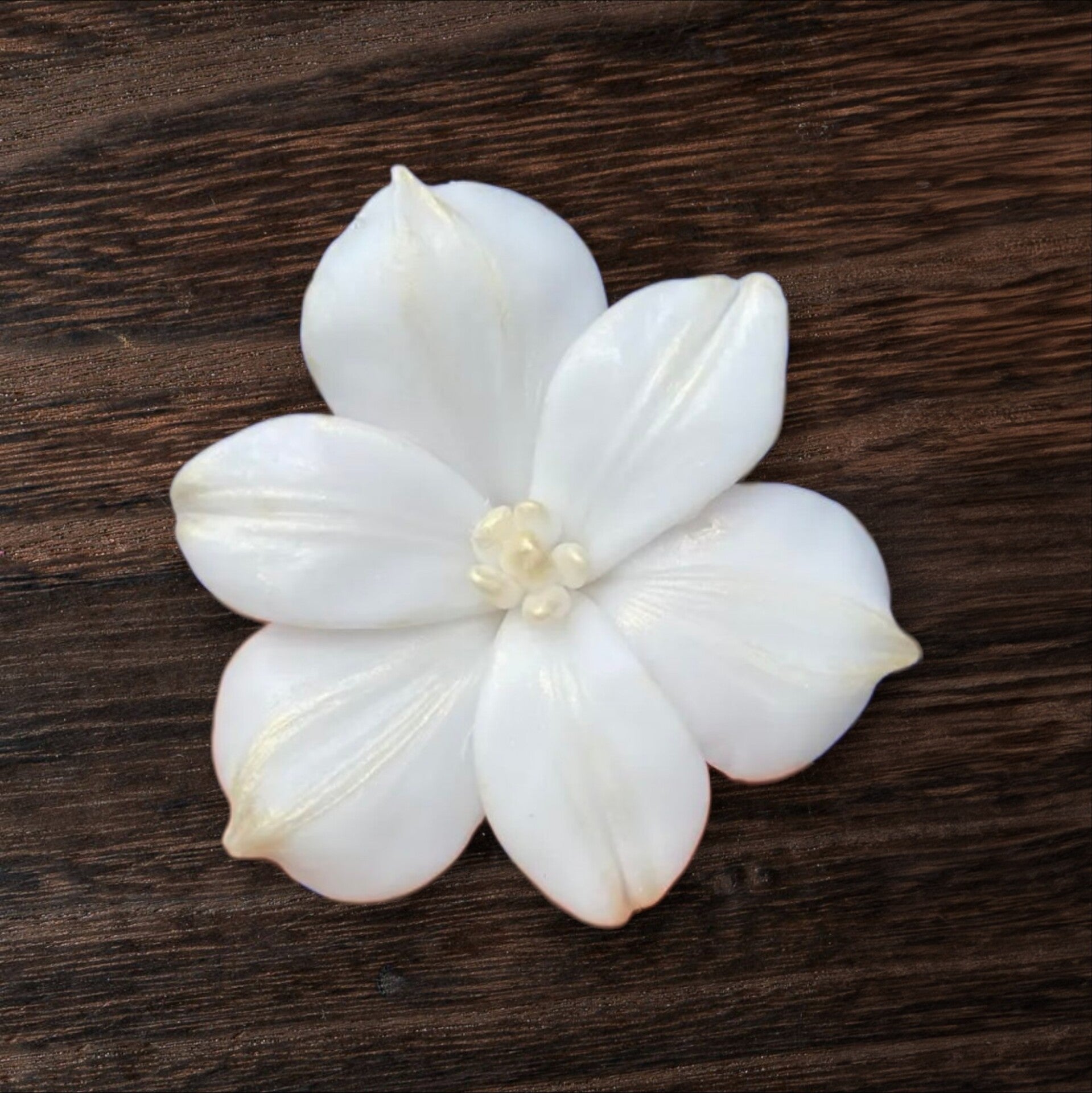 Beautiful Flower