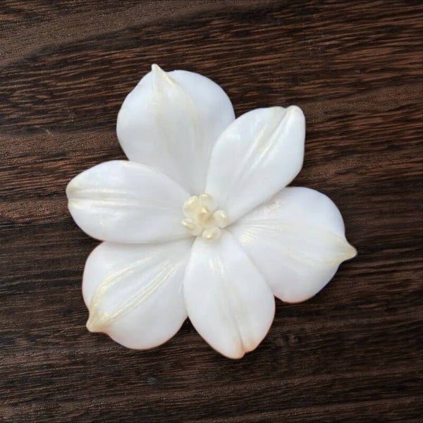 Beautiful Flower