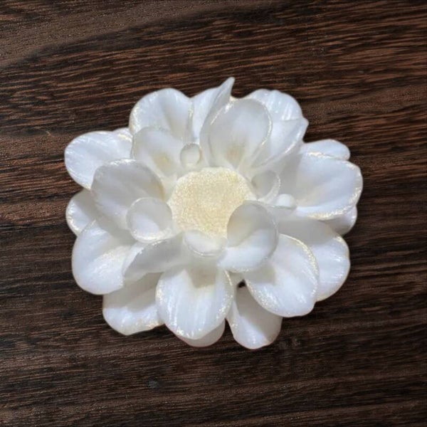 Wonderful Bloom