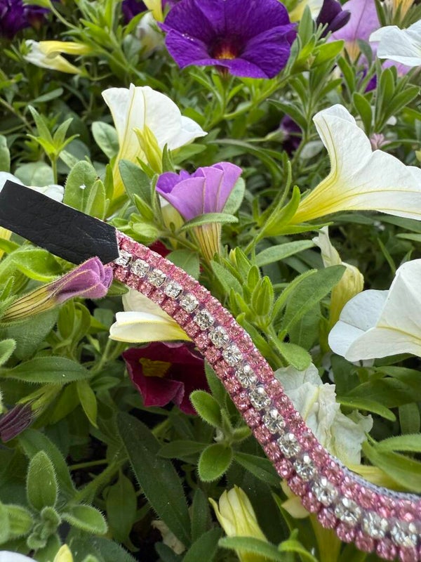 Hobbyhorse Stirnrimen