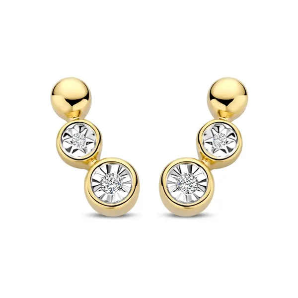 Bernstein Oorstekers 14k Geelgoud Briljant 195.552.40