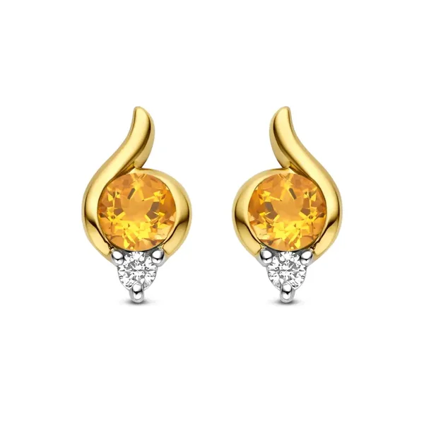 Bernstein Oorstekers 14k Geelgoud Briljant Citrin 195.624.40