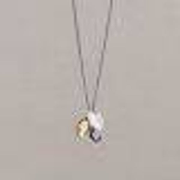 21758 Jeh Jewels Collier Trio Zilver Zwaluw
