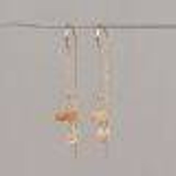 21765 Jeh Jewels Doortrek oorbel zilver verguld + Gold Rutiel