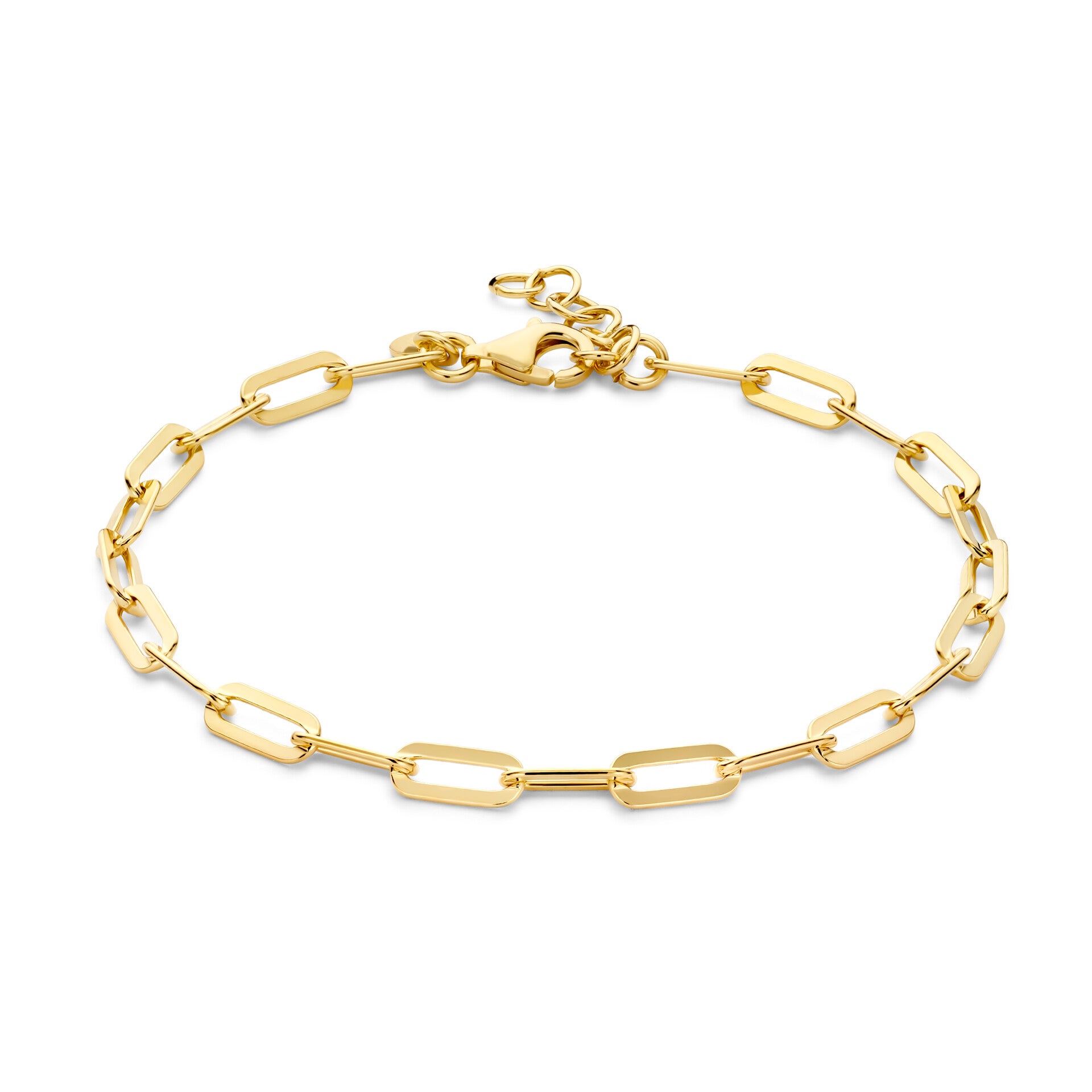 Rosa Di Luca Armband Zilver Verguld 603.495