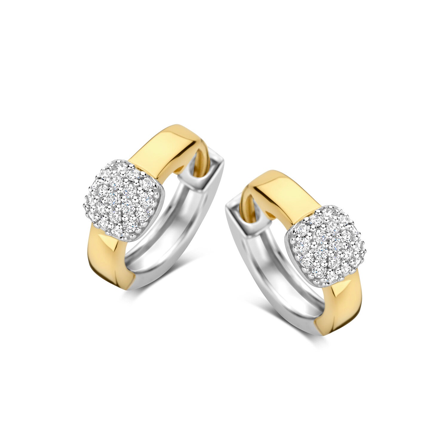 Rosa Di Luca Creolen Zilver Verguld 625.026