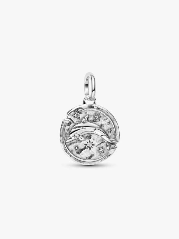 Pandora Dangle Dolfijnenmedaillonhanger 794807C01