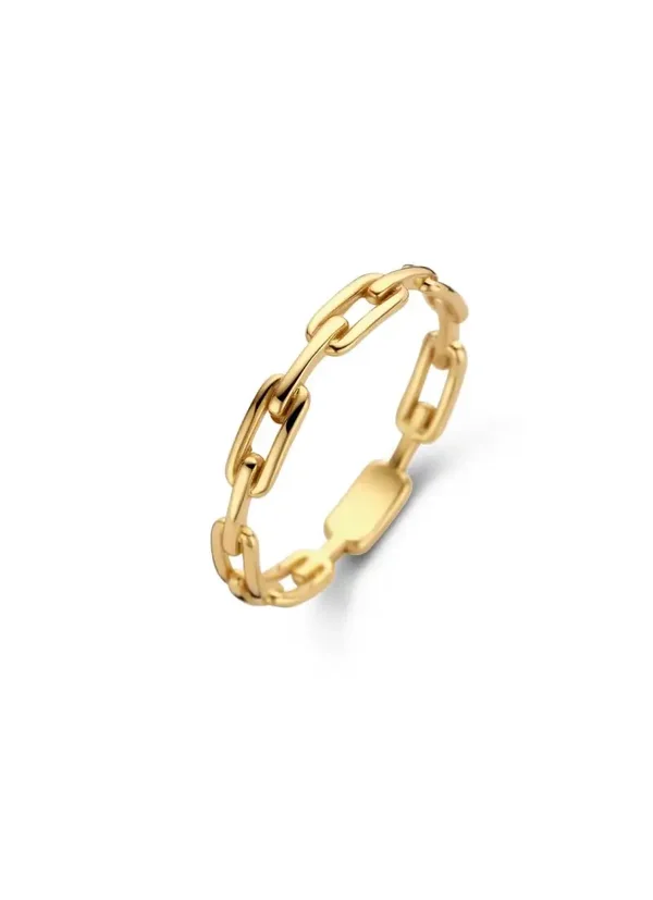 Jackie Ring Baia Link - 14K Goud JKR22.222