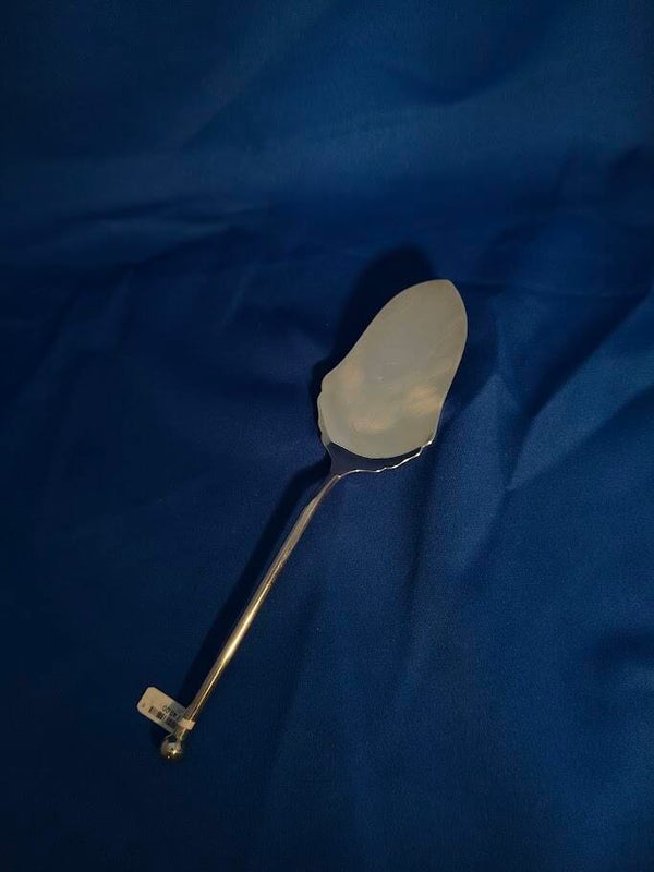 Taartschep Zilver 2171840