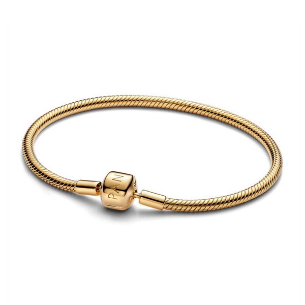Pandora Moments Snake-armband 14k gold-plated met Cilindersluiting 563390C00