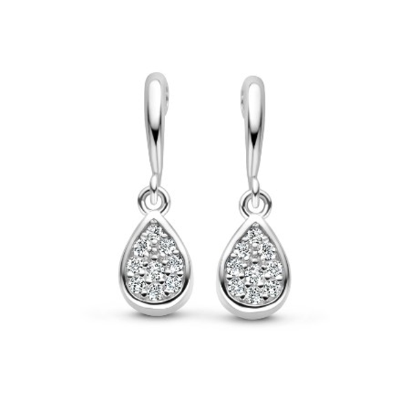 Rosa Di Luca Zilver Oorstekers Zirkonia 625.741