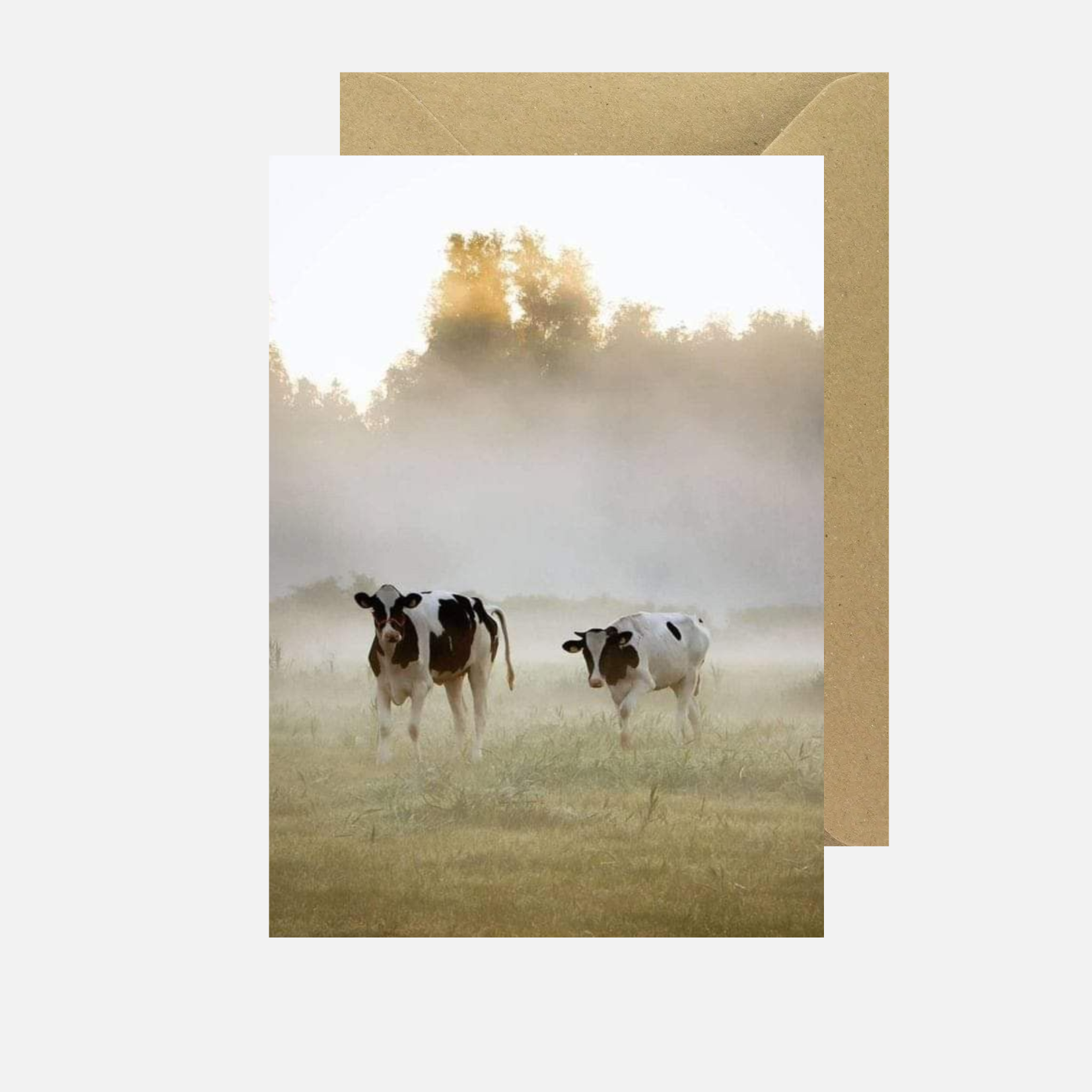 Blanco 'koeien mist'