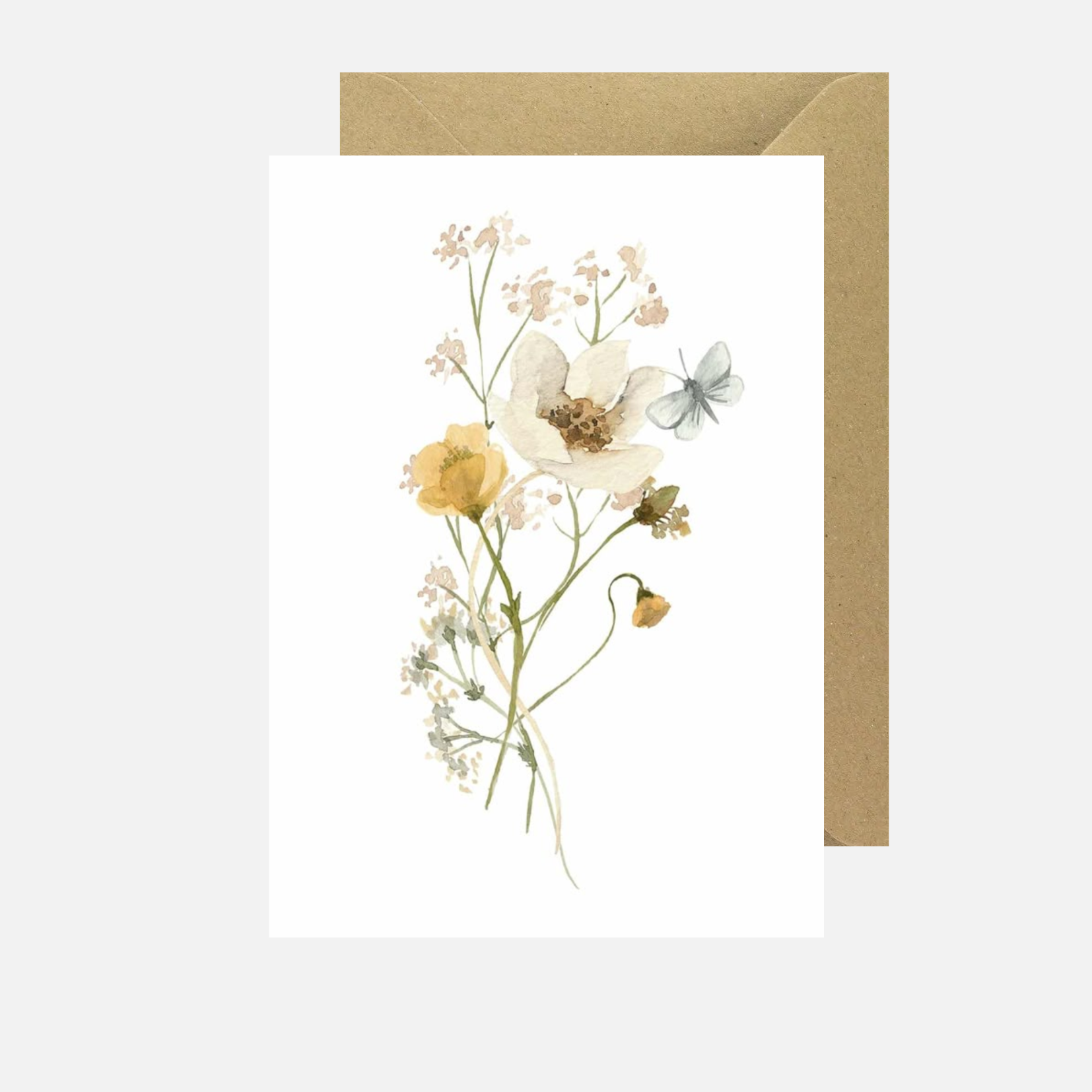 Blanco droogbloem